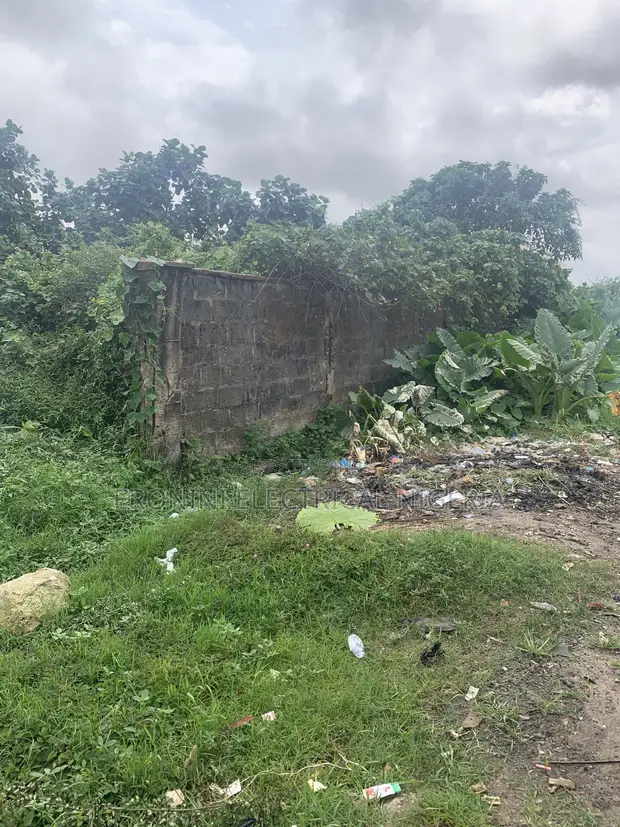 3 Plot na Ƙasa da C of O a Ojo, Lagos - 1