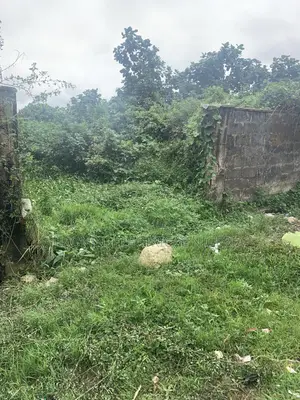 3 Plot na Ƙasa da C of O a Ojo, Lagos