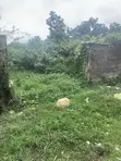3 Plot na Ƙasa da C of O a Ojo, Lagos - 2