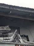 Gaban Cult na Honda da Acura (Kowace Samfura) - 1