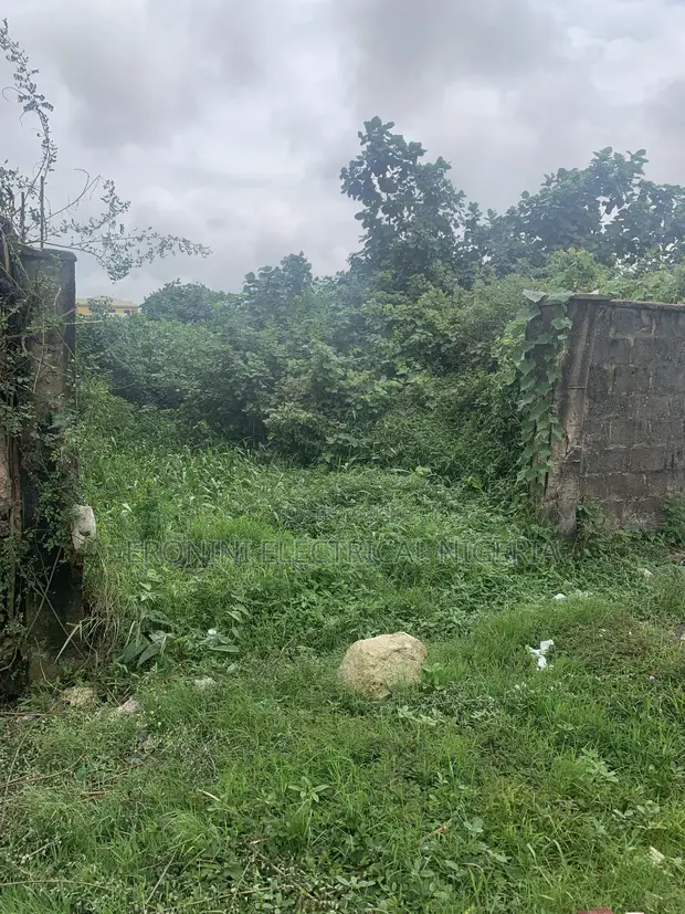 Plot of Land at Igbolerin First Gate - 1