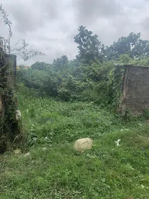 Plot of Land at Igbolerin First Gate