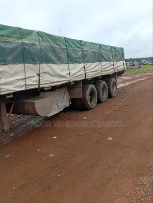 Dangote & Bua Cement Distributor