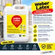 Weber Latex Mai Ƙara 20L - 2