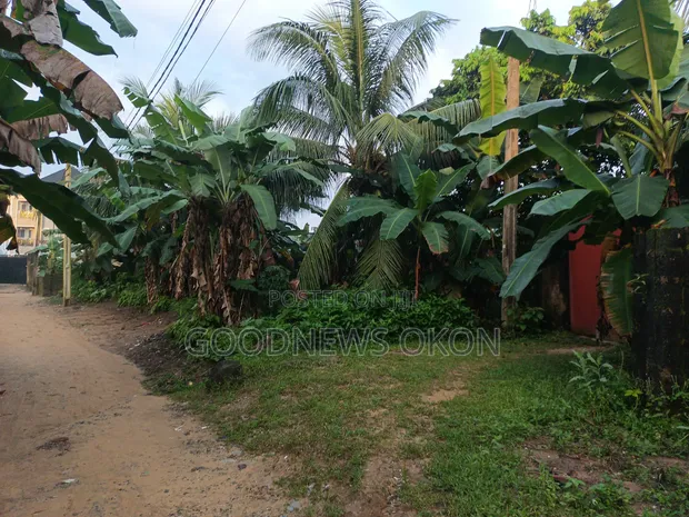 569 sqm Land with Incomplete Building for Sale in Uyo - 1