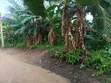569 sqm Land with Incomplete Building for Sale in Uyo - 2