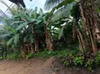 569 sqm Land with Incomplete Building for Sale in Uyo - 4