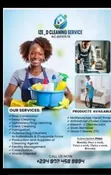 Cleaning and Fumigation Services - 2