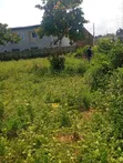 Buildable 800sqm Land for Sale, FO1 Pension Board - 1