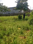 Buildable 800sqm Land for Sale, FO1 Pension Board - 5