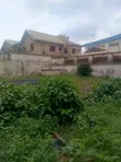 Half Plot of Land for Sale in Igboolomu Agric, Ikorodu - 1
