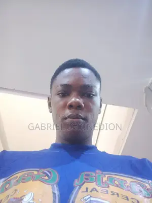 Computing & IT CV - Gabriel