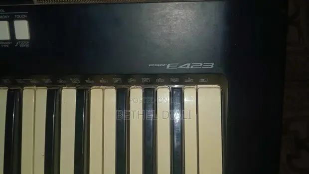 Yamaha PSR-E423 61-Key Digital Keyboard - 1