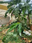 Filin Ƙasa da Takardar Mallaka don Siyarwa, Ikeja GRA - 3