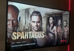 Samsung 55-Inch Smart TV