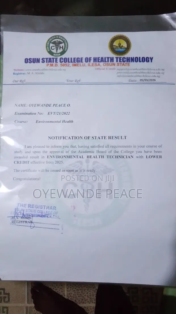 Manufacturing CV - Oyewande Peace - 1