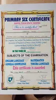 Manufacturing CV - Oyewande Peace - 2