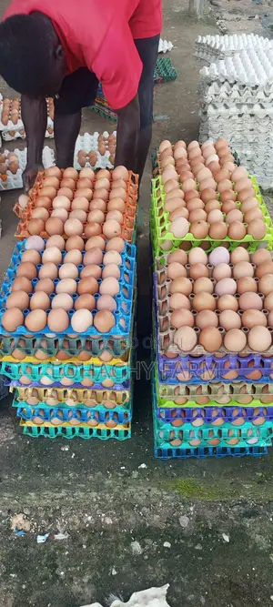 Kwai na Nutri Fresh daga Lohachy Farm