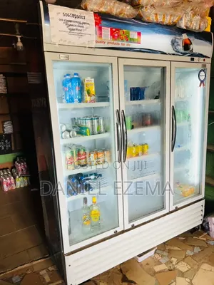 Used Blast Chiller Fridge - 6 Months Use