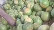 Fresh Fruit Salad Mix - 2