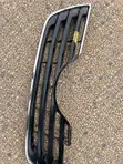 Toyota Camry 2010-2011 Front Grille - 1