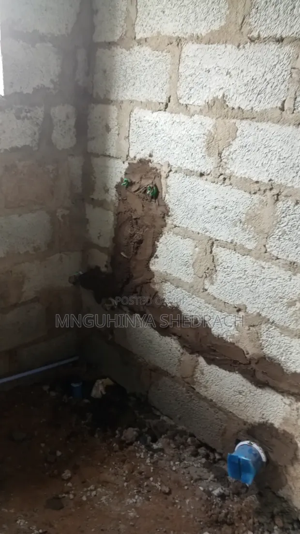 Sabis na Magudanar Ruwa na Mnguhinya Shedrach - 1