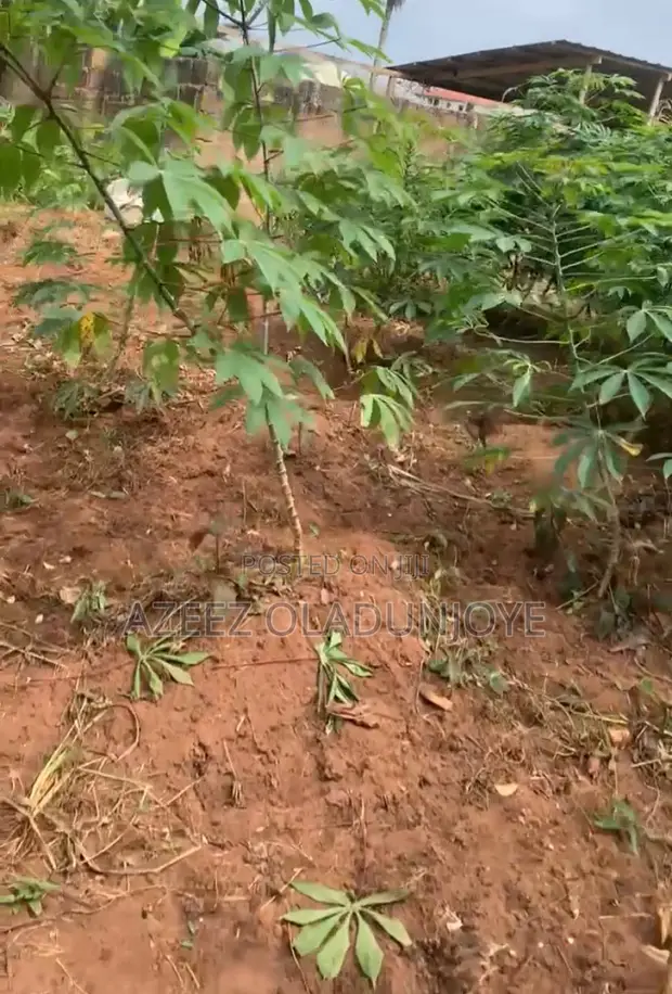 Residential Land for Sale - Ijebu Ode - 1