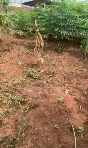 Residential Land for Sale - Ijebu Ode