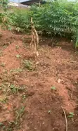 Residential Land for Sale - Ijebu Ode - 2