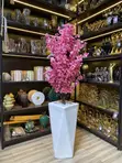 Cherry Blossom Plant in Tall Geometric Pot - 1