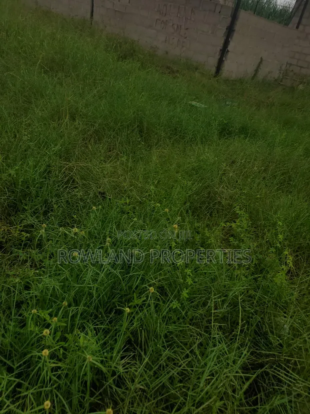 Half Plot Dry Land for Sale, Ajah - 1