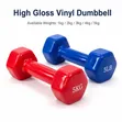 5kg Dumbbell - 1