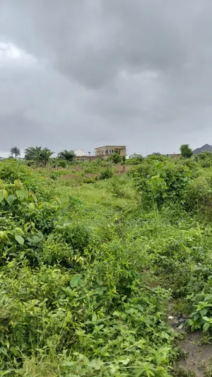 4.5 Plots of Land for Sale, Aba Owerri Road, Naze Owerri