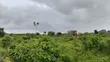 4.5 Plots of Land for Sale, Aba Owerri Road, Naze Owerri - 2