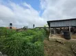 Standard Plot of Land for Sale in Ekerin, Ologuneru - 3