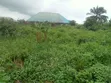 Quarter Plot for Sale, Abiola Gas Line, Cana City - 3