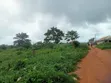 Quarter Plot for Sale, Abiola Gas Line, Cana City - 5