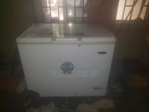 Thermocool Inverter Chest Freezer - 1