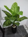Shuka Artificial a Kwalba - 2