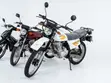 New Royal RYGY150-1 Motorcycle 2024 White - 1