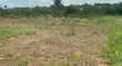 1155.43sqm Residential Land for Sale in Gwarimpa II - 1
