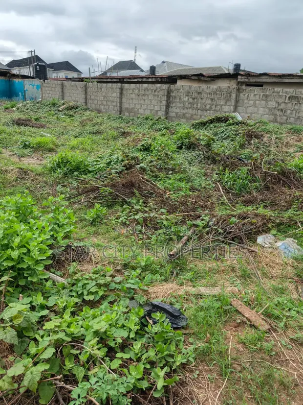 472 SQM Empty Land in Olowora, Omole Phase 2 - 1