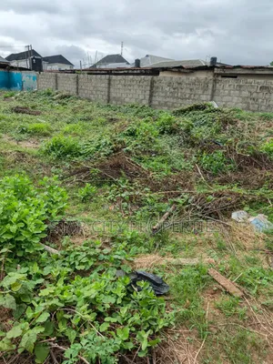 472 SQM Empty Land in Olowora, Omole Phase 2