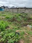 472 SQM Empty Land in Olowora, Omole Phase 2 - 1