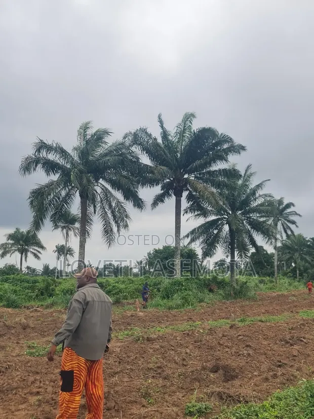 Palm Rich Estate Phase 7 Plot, Ado-Odo, Ota - 1