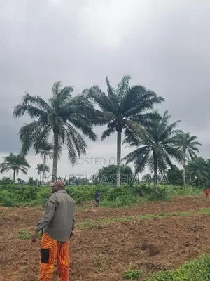 Palm Rich Estate Phase 7 Plot, Ado-Odo, Ota