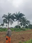 Palm Rich Estate Phase 7 Plot, Ado-Odo, Ota - 1