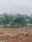Palm Rich Estate Phase 7 Plot, Ado-Odo, Ota - 2
