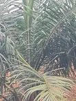 Palm Rich Estate Phase 7 Plot, Ado-Odo, Ota - 3