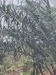Palm Rich Estate Phase 7 Plot, Ado-Odo, Ota - 5